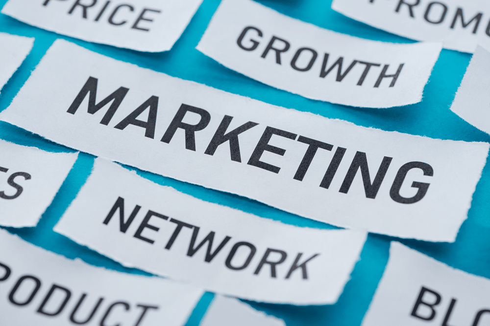 Data driven SEO services Blanco Texas