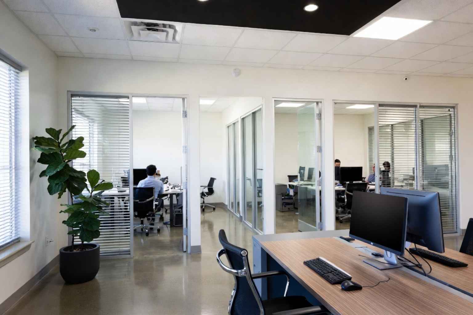 B2B Website Design Agency In Plano TX