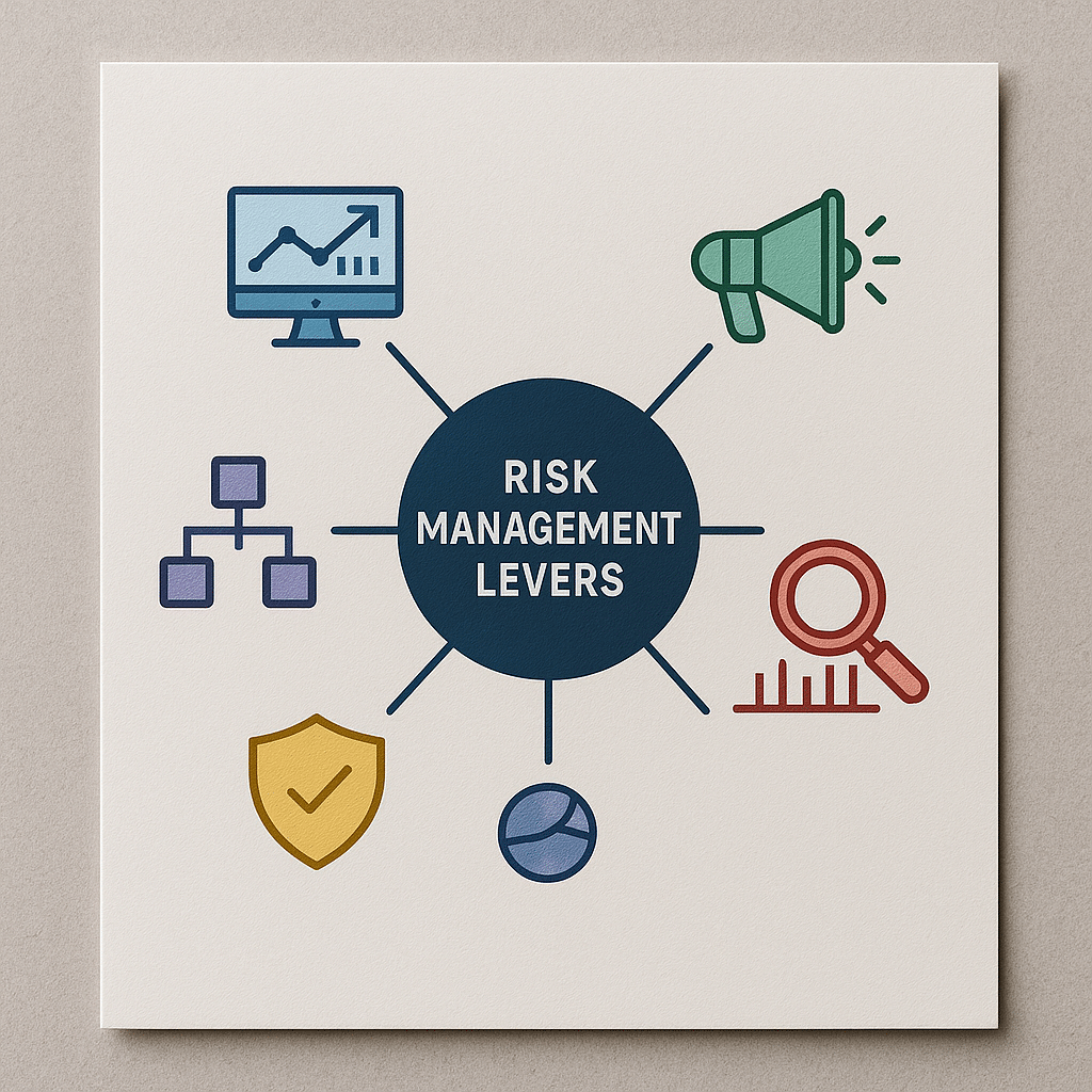 Infographic — Overview diagram showing five risk management levers for SEO and digital marketing